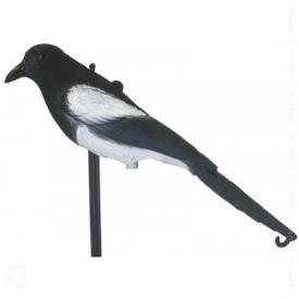 Чучело сорока BirdLand, 78540 (QH) Чучело сорока BirdLand, 78540 (QH)