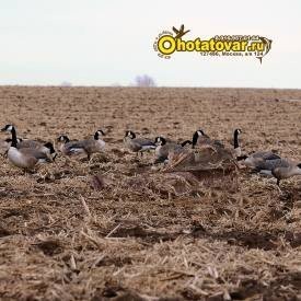 Лежачая засидка Avery Outdoors Power Hunter, 1459