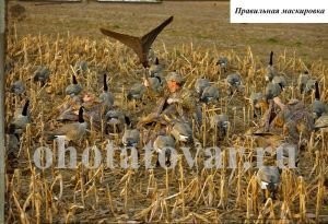 Скрадок для охоты на гуся (засидка) №2