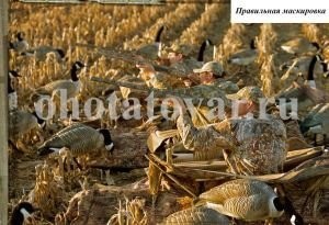 Скрадок для охоты на гуся (засидка) №2