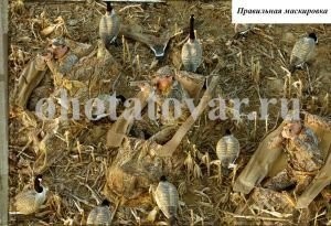 Скрадок для охоты на гуся (засидка) №2