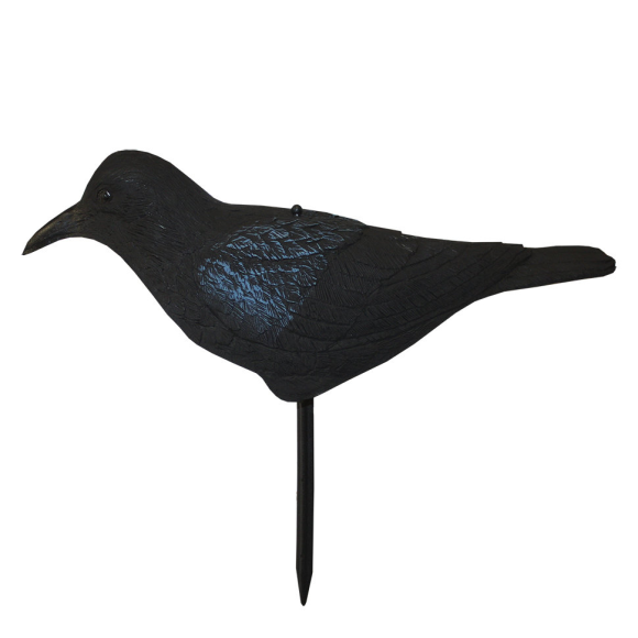 Муляж ворона Sport Plast IM-750 скорлупка, IM-750