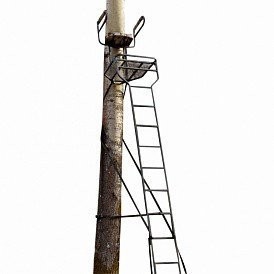 Тристенд лестничный, PH