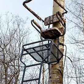 Тристенд лестничный, PH