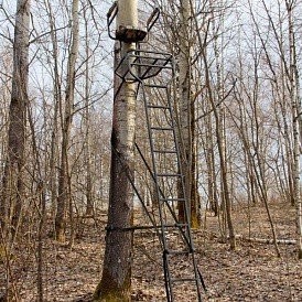 Тристенд лестничный, PH