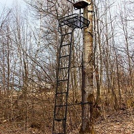 Тристенд лестничный, PH