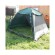 Палатка Tramp Bungalow Lux Green V2