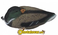 Чучело кряква спящая (селезень) BirdLand, 7322 (QH)