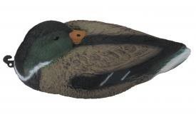 Чучело кряква спящая (селезень) BirdLand, 7322 (QH)