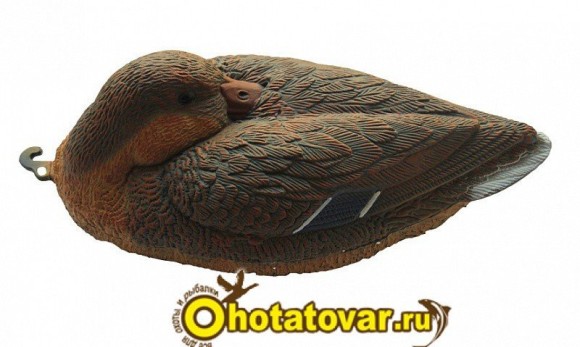 Чучело кряква спящая (утка) BirdLand, 7321 (QH)